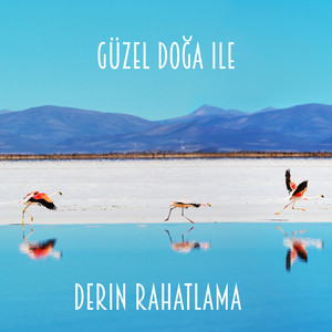 Güzel Doğa ile Derin Rahatlama