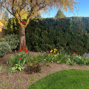 Timeless Hymns Volume 2