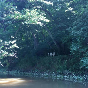 everything (Explicit)