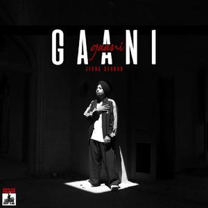 Gaani