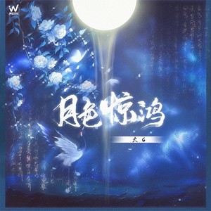大C - 月色惊鸿