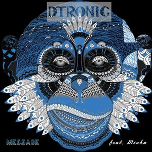 Message (feat. Minka) (Prog Mix)