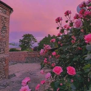 Never Forget (Explicit)