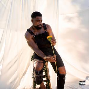 Lost Bloom Tapes, Volume 3 (Explicit)