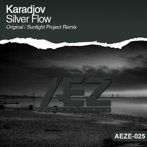 Silver Flow (Sunlight Project Remix)