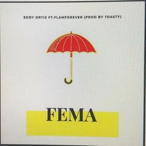 FEMA (Explicit)