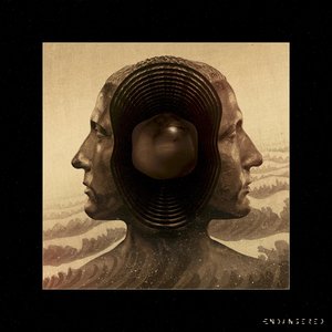 Consonance (Original Mix)