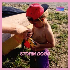 Storm Door