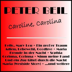 Und ein Zug fährt durch die Nacht