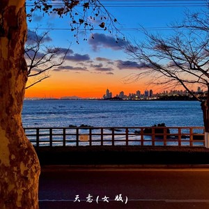 天意 (女版)