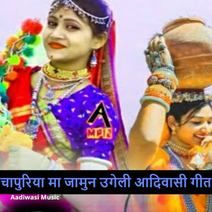 चापुरिया मा जामुन उगेली आदिवासी गीत