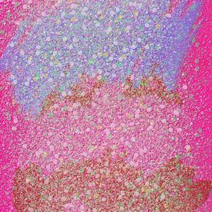 OFF DA SH!T (Explicit)