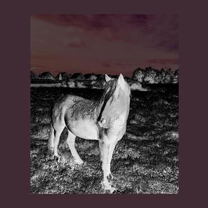 siete: Luz (feat. Felipe Ignorante & Andres Zanetta)