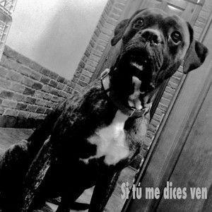 Si Tú Me Dices Ven