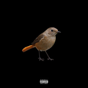 BIRD (Explicit)
