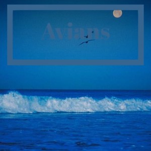 Avians