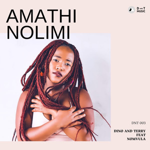 Amathi Nolimi