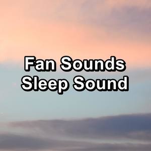 Fan Sounds Sleep Sound