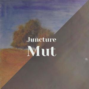 Juncture Mut