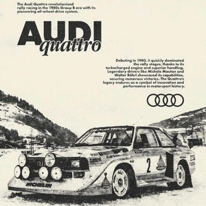 AUDI CLUB