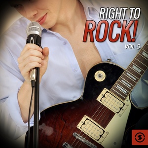 Right to Rock!, Vol. 5