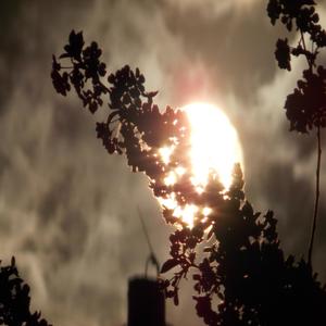 SAD STORY (Original Mix)