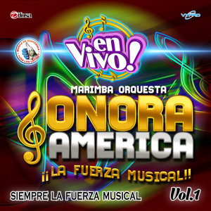 Marimba Orquesta Sonora America - Adiós Pueblito Mio (En Vivo)