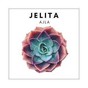 Jelita