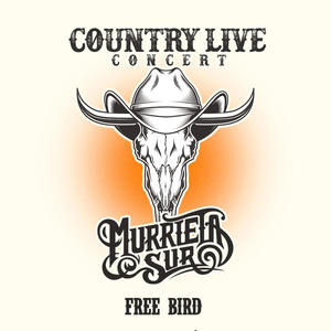 Free Bird (Live Concert)