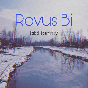 Rovus Bi