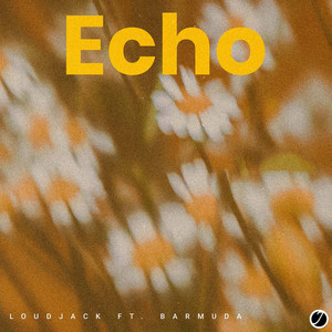 Echo