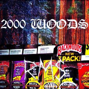 2000 Woods (feat. RM$Sosanami) (Explicit)