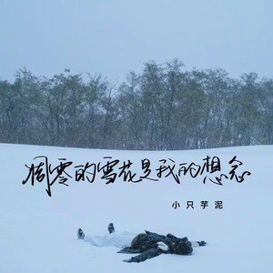 凋零的雪花是我的想念