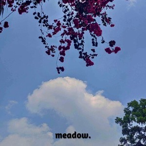 meadow.