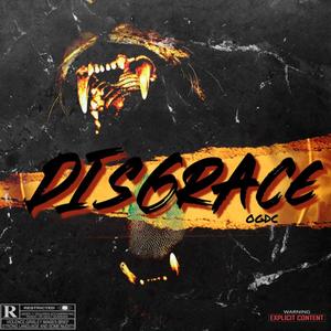 Disgrace (Explicit)