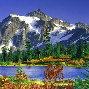 Y ahora no se que hacer.