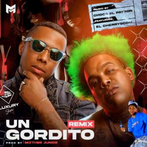 Un Gordito (feat. El cherry scom, Choco baby, MixTherjunior & Luxury studios)