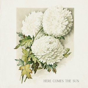 Here Comes The Sun