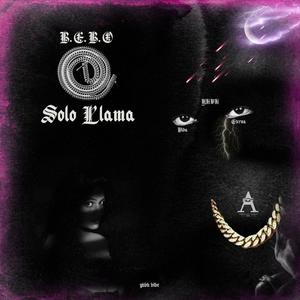 Solo Llama
