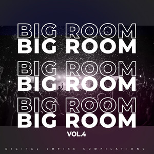 BIG ROOM, Vol. 4