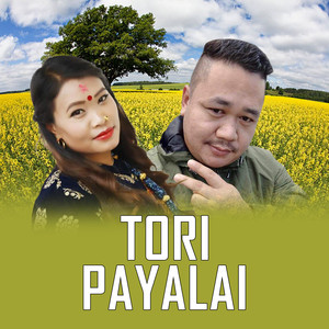 TORI PAYALAI