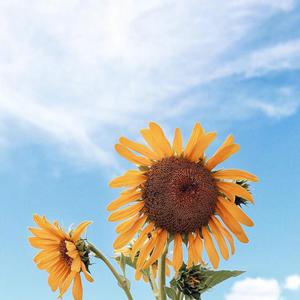 SAVE ME prod by Ryini Beats