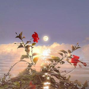 星河不及你 (22秒片段)