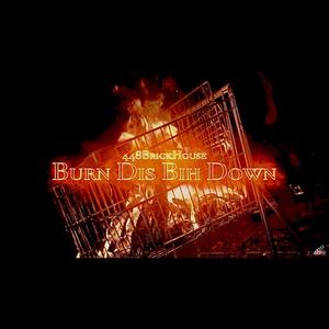 Burn Dis Bih Down (Explicit)