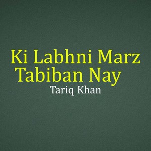 Ki Labhni Marz Tabiban Nay