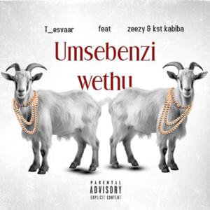 Umsebenzi Wethu (feat. Zeezy & Kst Kabiba)