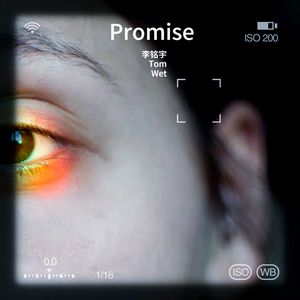 Promise