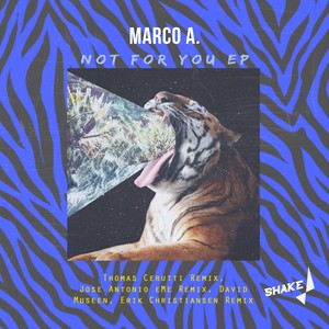 Not For You (Thomas Cerutti Remix)