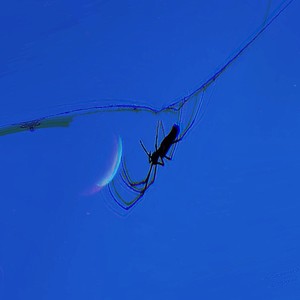 picture perfect (Explicit)