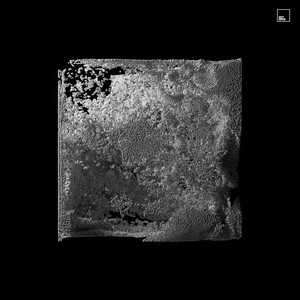 Birds (Theus Mago Remix)